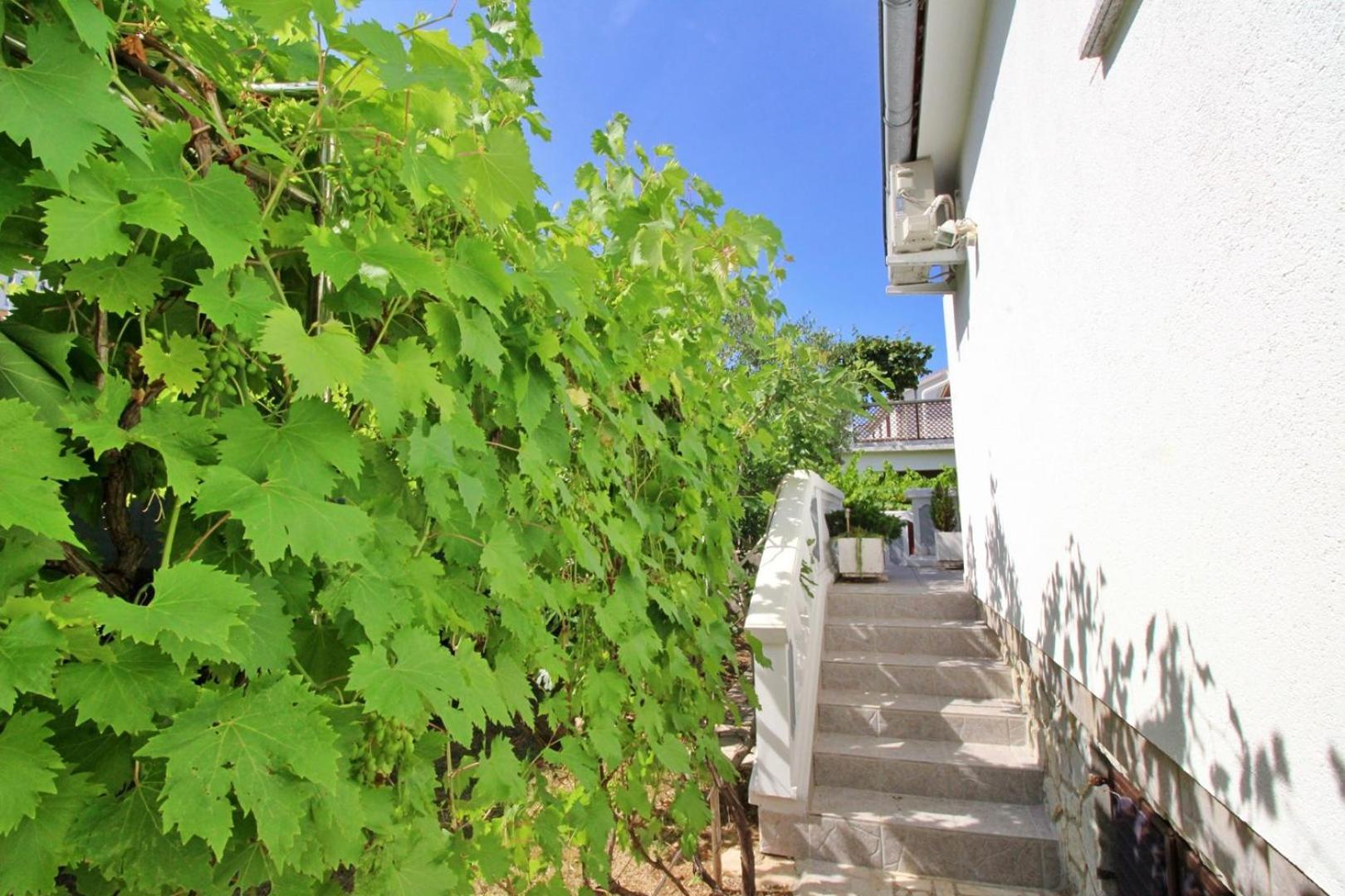 Apartments Zlatica Šilo Eksteriør billede